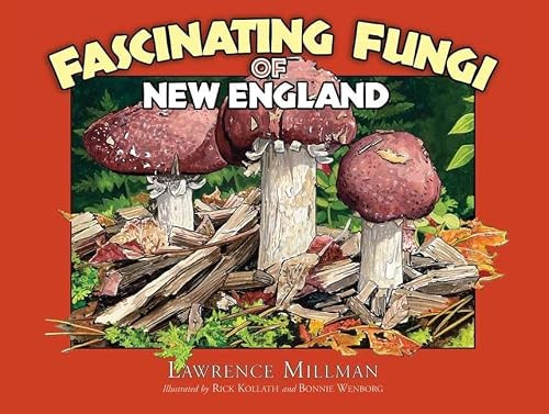 Fascinating Fungi of New England by Lawrence Millman, 9781936571017