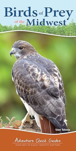 Birds of Prey of the Midwest (Your Way to Easily Identify Raptors) by Stan Tekiela, 9781591933984