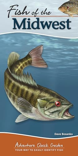 Fish of the Midwest (Your Way to Easily Identify Fish) by Dave Bosanko, 9781591935834