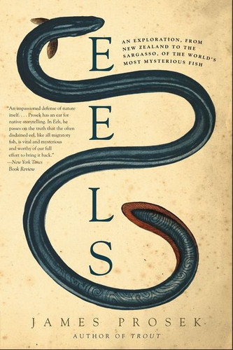 Eels (An Exploration, from New Zealand to the Sargasso, of the World's Most Mysterious Fish) by James Prosek, 9780060566128