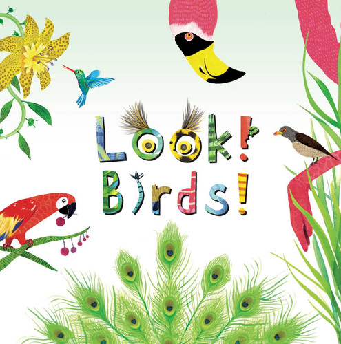 Look! Birds! by Stephanie Calmenson, Puy Pinillos, 9781499801149