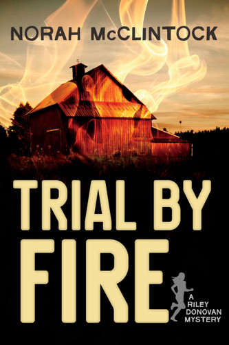 Trial by Fire - 9781459809369 by Norah McClintock, 9781459809369
