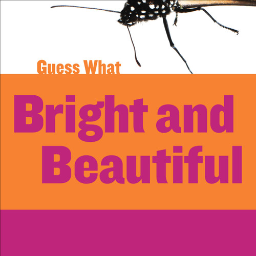 Bright and Beautiful (Butterfly) - 9781634707510 by Felicia Macheske, Timothy Cap, 9781634707510