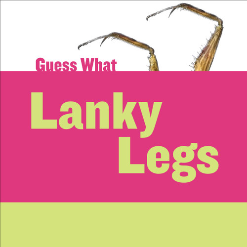 Lanky Legs (Praying Mantis) - 9781634707503 by Felicia Macheske, Timothy Cap, 9781634707503