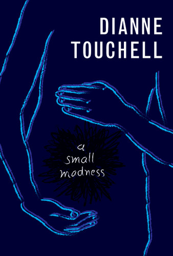 A Small Madness by Dianne Touchell, 9781554988372