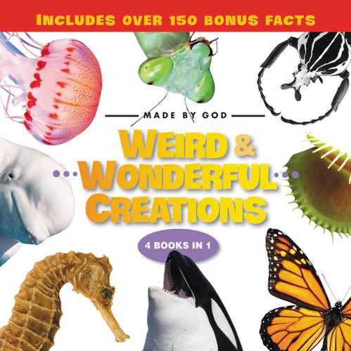 Weird and Wonderful Creations by  Zondervan, 9780310731245