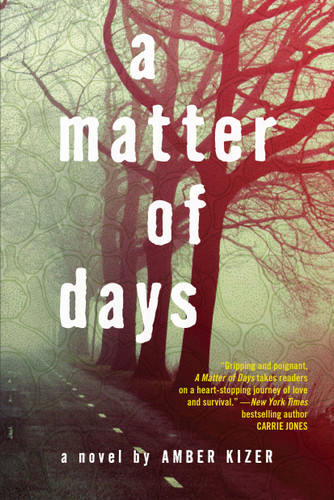A Matter of Days by Amber Kizer, 9780385739740