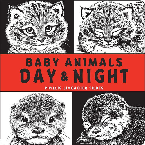 Baby Animals Day & Night by Phyllis Limbacher Tildes, Phyllis Limbacher Tildes, 9781580896092
