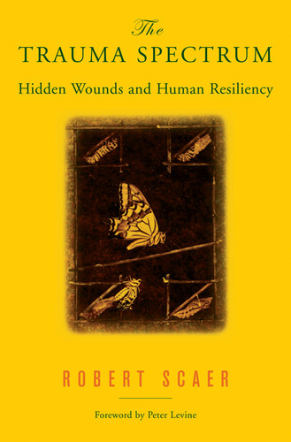 The Trauma Spectrum (Hidden Wounds and Human Resiliency) by Robert Scaer, 9780393704662