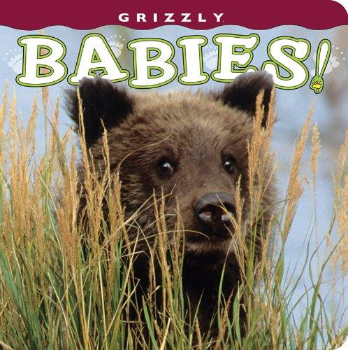Grizzly Babies! by Henry H. Holdsworth, 9781560375463