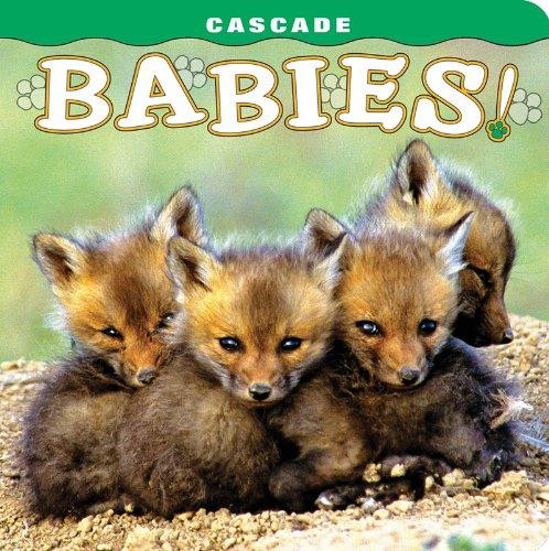Cascade Babies! by Will Harmon, 9781560373308