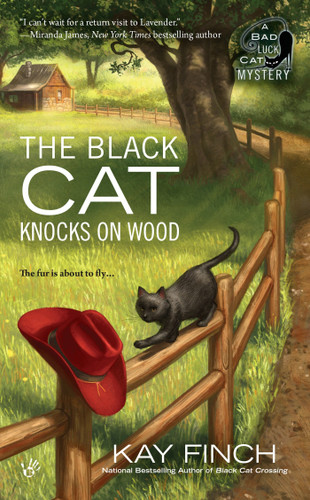 The Black Cat Knocks on Wood by Kay Finch, 9780425275252