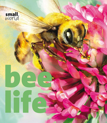 Bee Life by Lynette Evans, Francesca D'Ottavi, 9781608871988