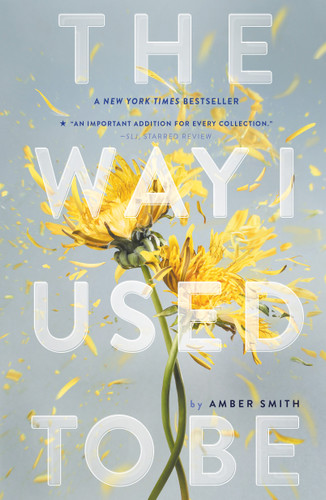 The Way I Used to Be - 9781481449366 by Amber Smith, 9781481449366
