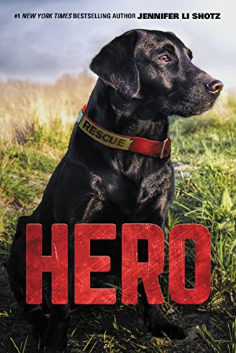 Hero - 9780062560391 by Jennifer Li Shotz