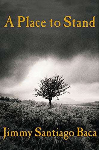 A Place to Stand by Jimmy Santiago Baca, 9780802139085