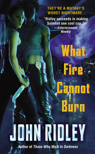 What Fire Cannot Burn by John Ridley, 9780446612036
