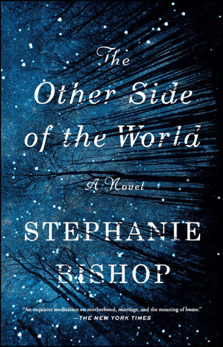 The Other Side of the World (A Novel) by Stephanie Bishop, 9781501133138