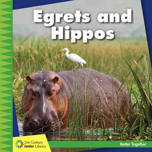 Egrets and Hippos - 9781634712798 by Kevin Cunningham, 9781634712798