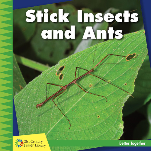 Stick Insects and Ants by Kevin Cunningham, 9781634710879