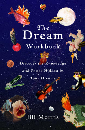 The Dream Workbook (Discover the Knowledge and Power Hidden in Your Dreams) by Jill Morris, 9780316599986