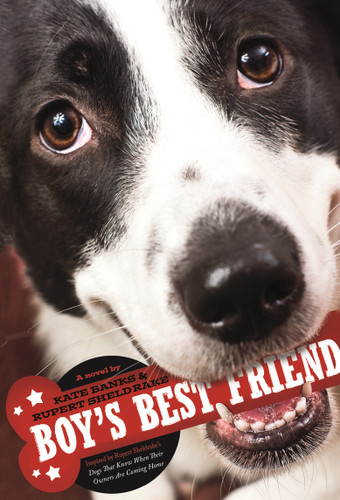 Boy's Best Friend - 9781250079725 by Kate Banks, Rupert Sheldrake, 9781250079725