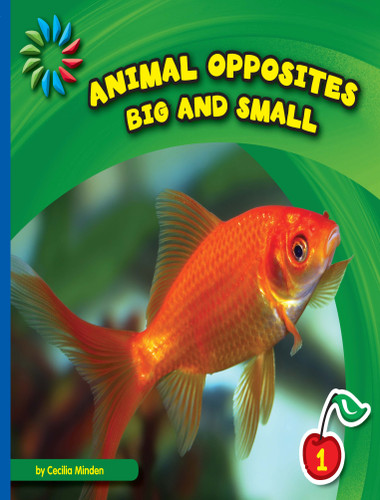 Big and Small - 9781634704717 by Cecilia Minden, 9781634704717