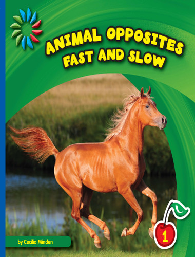 Fast and Slow - 9781634705929 by Cecilia Minden, 9781634705929