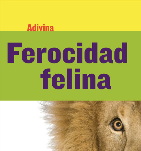Ferocidad felina (Fiercely Feline) (León (Lion)) (Spanish Edition) - 9781634714648 by Kelly Calhoun, 9781634714648