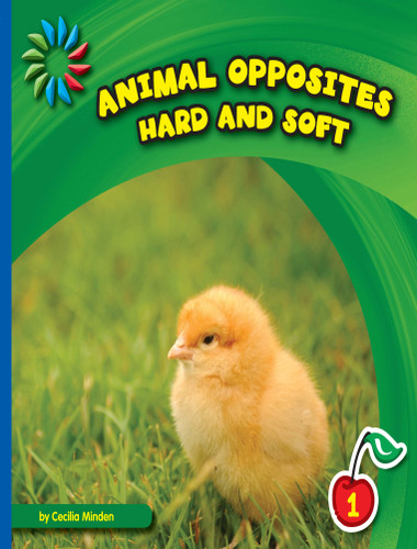 Hard and Soft by Cecilia Minden, 9781634704694