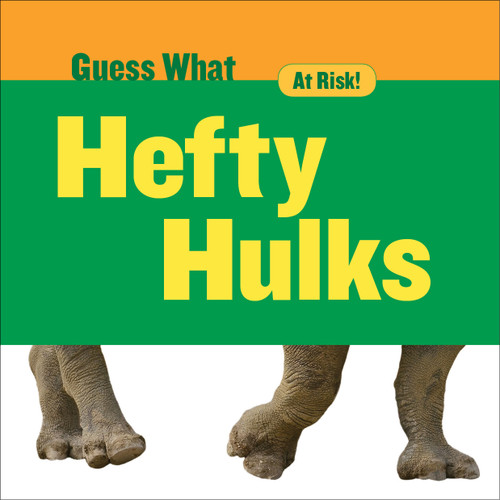 Hefty Hulks (Rhinoceros) - 9781634723015 by Felicia Macheske, 9781634723015