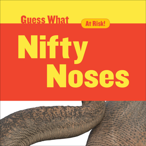 Nifty Noses (Elephant) by Felicia Macheske, 9781634721769