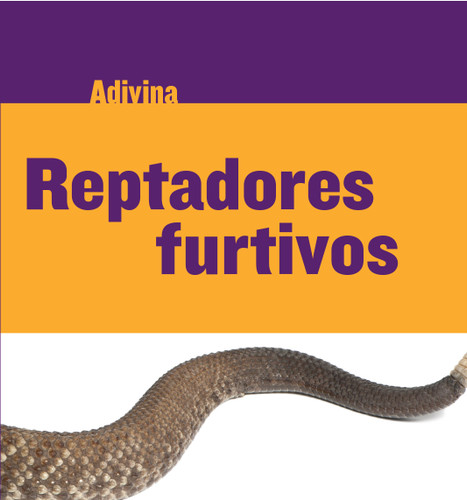 Reptadores furtivos (Slinky Sliders) (Serpiente de cascabel (Rattlesnake)) (Spanish Edition) by Kelly Calhoun, 9781634714525 Reptadores furtivos (Slinky Sliders) (Serpiente de cascabel (Rattlesnake)) (Spanish Edition) by Kelly Calhoun, 9781634714525