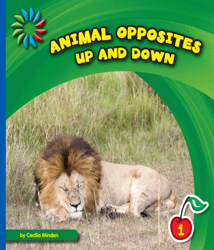 Up and Down - 9781634705882 by Cecilia Minden, 9781634705882