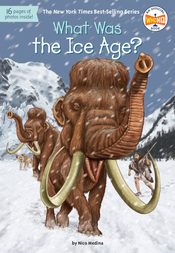 What Was the Ice Age? by Nico Medina, Who HQ, David Groff, 9780399543890