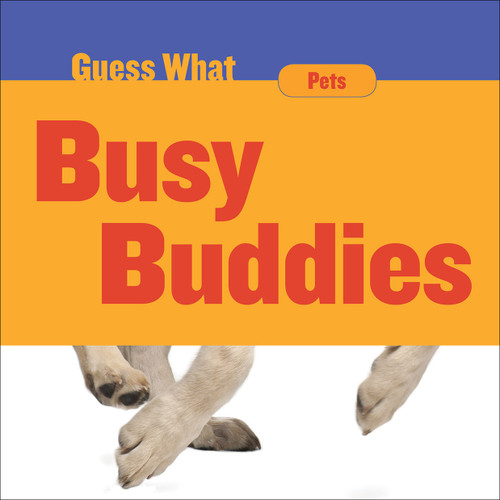 Busy Buddies (Dog) by Felicia Macheske, 9781634728515