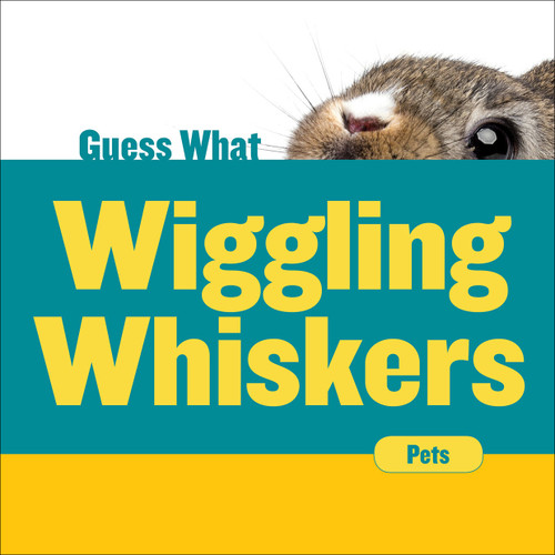 Wiggling Whiskers (Rabbit) by Felicia Macheske, 9781634728577