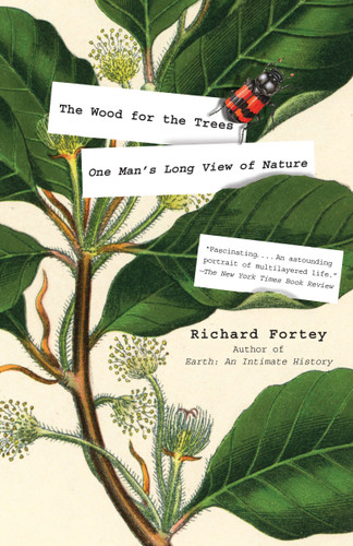 The Wood for the Trees (One Man's Long View of Nature) by Richard Fortey, 9781101911563