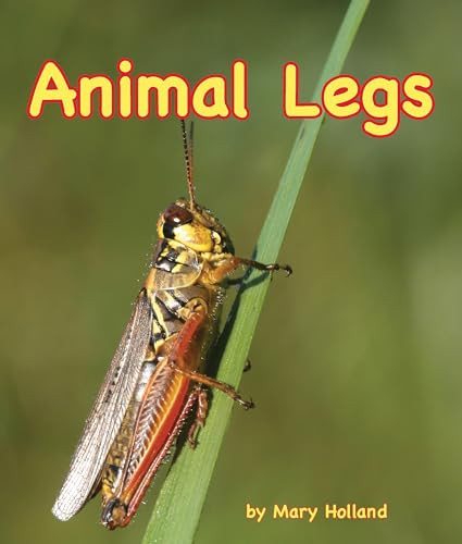 Animal Legs by Mary Holland, 9781628558432