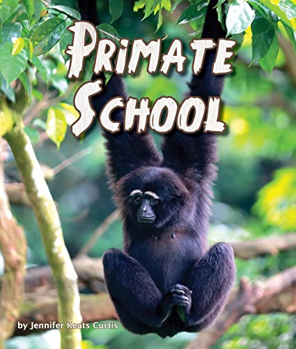 Primate School by Jennifer Keats Curtis, 9781628555554