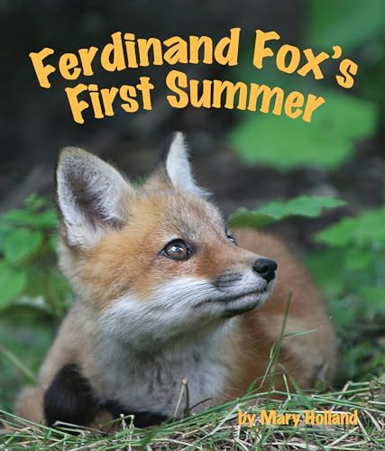 Ferdinand Fox's First Summer - 9781607186267 by Mary Holland, 9781607186267