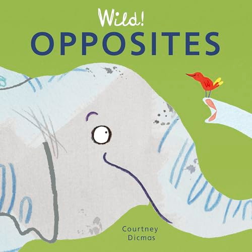 Opposites - 9781846439971 by Courtney Dicmas, Courtney Dicmas, 9781846439971