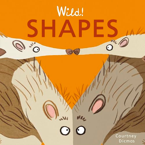 Shapes - 9781846439940 by Courtney Dicmas, Courtney Dicmas, 9781846439940