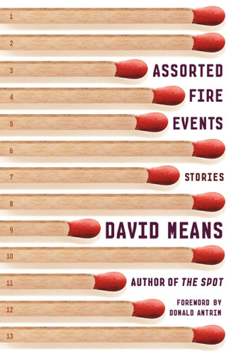 Assorted Fire Events (Stories) by David Means, Donald Antrim, 9780865478879