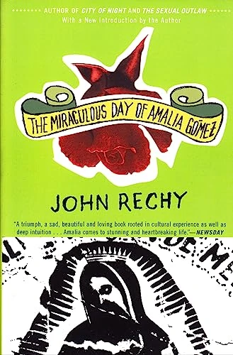 The Miraculous Day of Amalia Gómez by John Rechy, 9780802138477