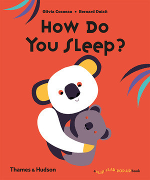 How Do You Sleep? by Olivia Cosneau, Bernard Duisit, 9780500651445