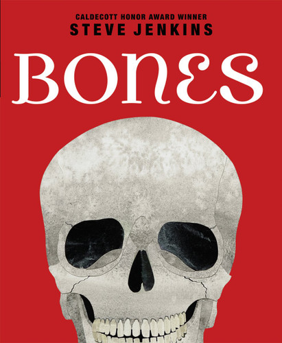 Bones: Skeletons and How They Work by Steve Jenkins, Steve Jenkins, 9780545046510
