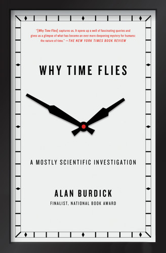 Why Time Flies (A Mostly Scientific Investigation) - 9781416540281 by Alan Burdick