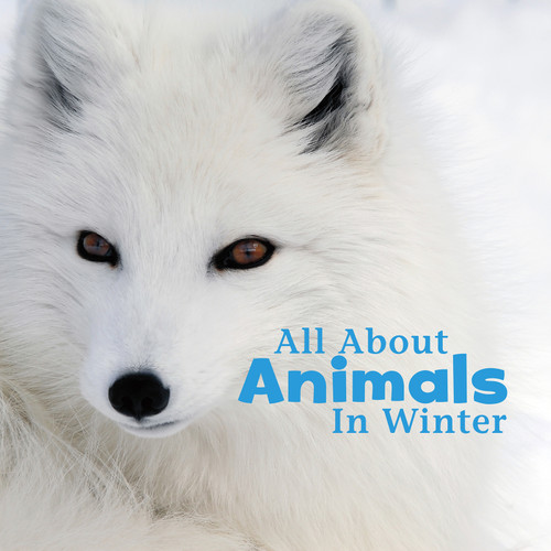 All About Animals in Winter - 9781491460177 by Martha E. H. Rustad, 9781491460177