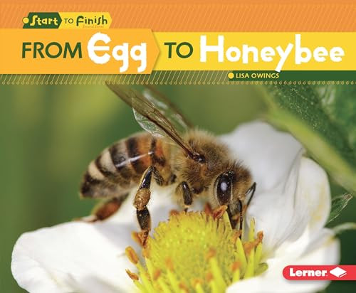 From Egg to Honeybee by Lisa Owings, 9781512409086